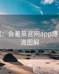粉丝必藏：含羞草官网app爆点整理高清图解
