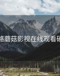 运营策略蘑菇影视在线观看硬核指南