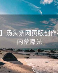 【深度】汤头条网页版创作手册真实内幕曝光