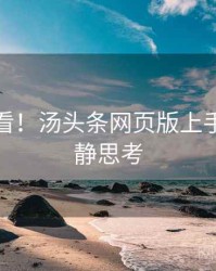 冲浪必看！汤头条网页版上手指南冷静思考