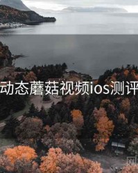 最新动态蘑菇视频ios测评结果