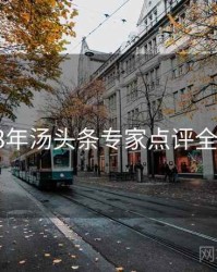 2023年汤头条专家点评全档案