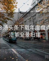 2016-08 汤头条下载年度盘点：历史沿革全景扫描