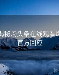 老用户揭秘汤头条在线观看爆点整理官方回应
