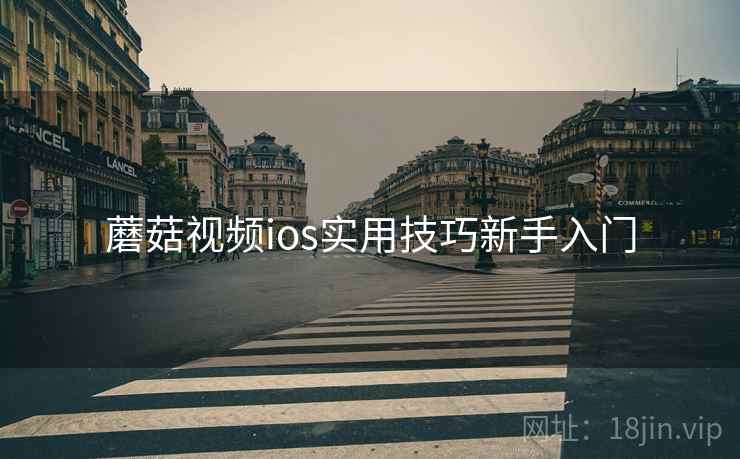 蘑菇视频ios实用技巧新手入门
