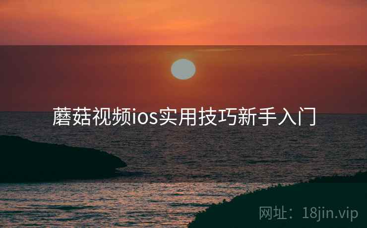 蘑菇视频ios实用技巧新手入门