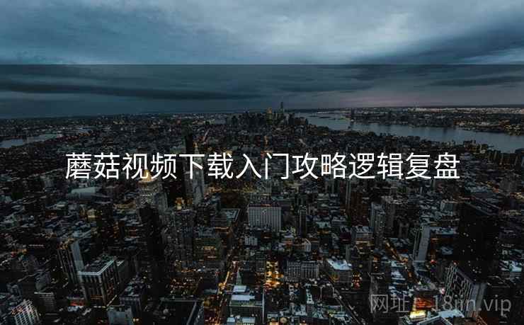 蘑菇视频下载入门攻略逻辑复盘