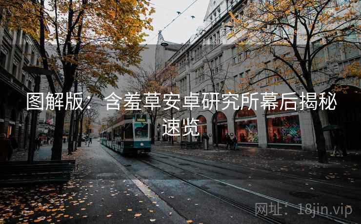 图解版：含羞草安卓研究所幕后揭秘速览