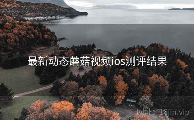 最新动态蘑菇视频ios测评结果