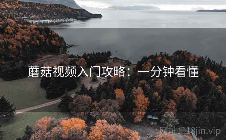 蘑菇视频入门攻略：一分钟看懂